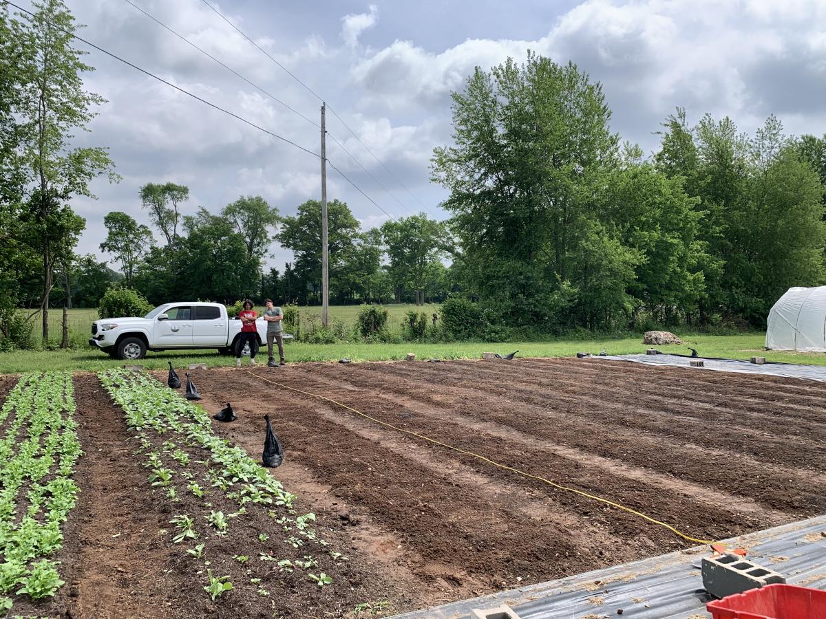 Pre Plant
