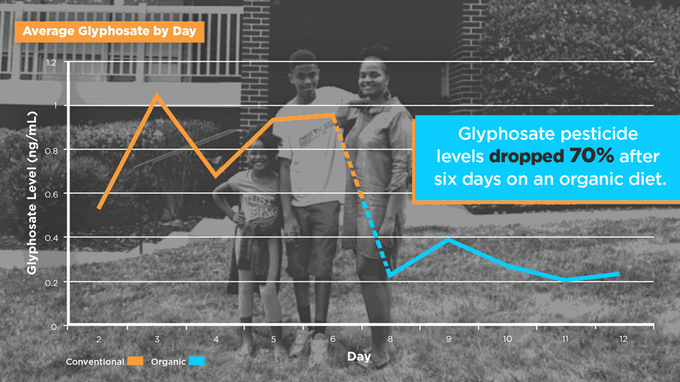 New Study Shows Levels Of Glyphosate aka Roundup In Families Drop Dramatically After One Week