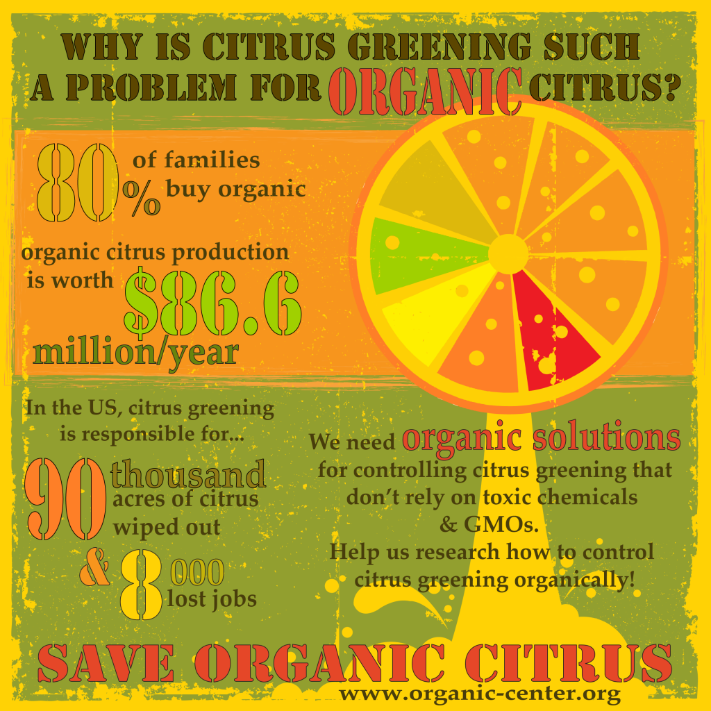 Citrus Greening Infographic 7